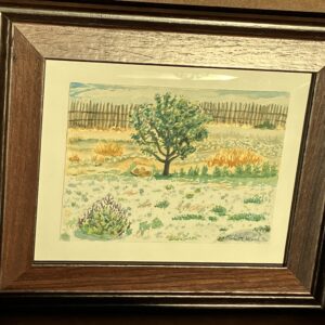 Heirloom Apple Tree