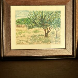 Trees in Nambe